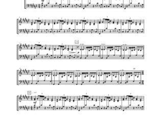 The Power of Music - for marimba and voice