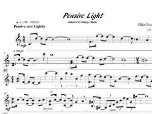 Pensive Light for two mallets – for solo vibraphone