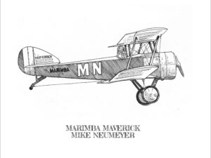 Marimba Maverick - Royalty Free Music for Film