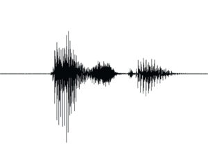 Audio Downloads